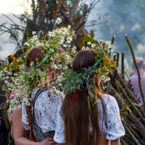 Sărbătoarea de Sânziene 2025. De ce se pune busuioc sub pernă în noaptea de 23 spre 24 iunie. Ce plante medicinale se culeg