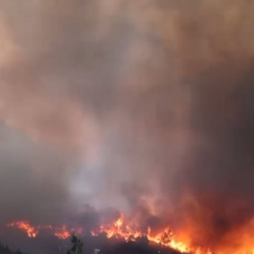 VIDEO Incendiile de vegetație fac ravagii în insula grecească Chios. Sute de oameni au fost evacuați