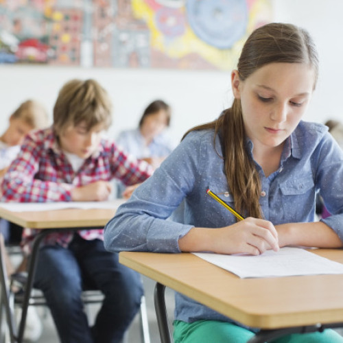 Când se afișează rezultatele de la Evaluarea Națională 2025. Care este termenul limită pentru depunerea contestațiilor