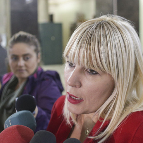 Video Elena Udrea află joi dacă va fi eliberată condiționat. Penitenciarul Târgșor a admis cererea fostului ministru al Turismului