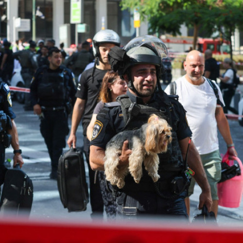 România permite intrarea animalelor de companie din Israel chiar și fără vaccin sau microcip, în baza unui formular