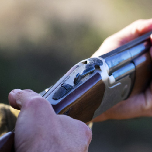 Un primar din Bihor a fost condamnat la închisoare, după moartea unui pădurar în timpul unei partide de vânătoare ilegală