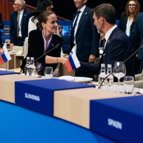 Ministrul de Externe Oana Țoiu, la reuniunea Consiliului NATO-Ucraina: „Protejăm, împreună cu forţele aliate, graniţa UE”