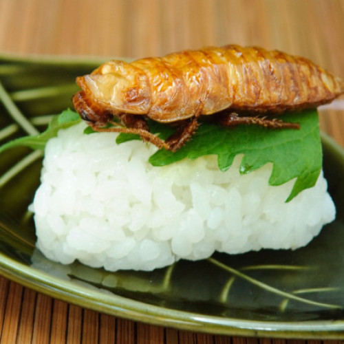 De ce eșuează planul de a înlocui carnea din mâncare cu insecte pentru salvarea planetei (studiu)