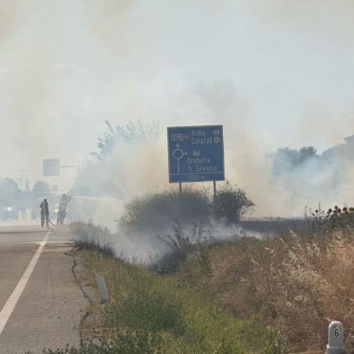 Video Incendiu puternic de vegetaţie la Maglavit, în Dolj, pe o suprafață de 70 – 80 hectare. Traficul rutier a fost deviat