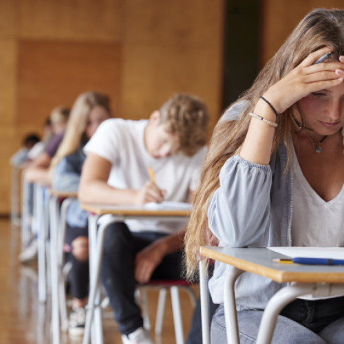 Evaluarea Națională 2025: Subiecte la limba maternă. Când se afișează rezultatele finale, după contestații