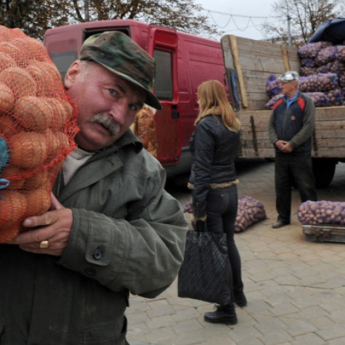 „Mafia cartofilor” stârnește furie în Belarus. Cum a declanșat Lukașenko o criză agricolă de care profită Rusia