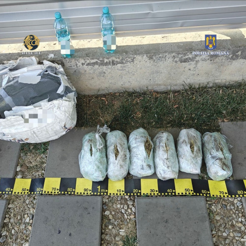 Arestați pentru trafic internațional de droguri de risc. Aduceau substanțe din Spania