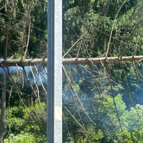 Foto Copac căzut peste linia de contact a CFR între Sinaia și Bușteni. Trenurile au întârzieri de până la 205 minute