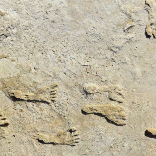 Urmele de pași care schimbă istoria Americii. Ce au descoperit cercetătorii în White Sands