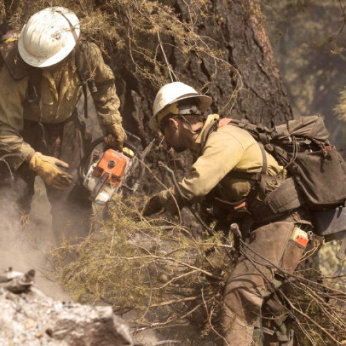 Doi morți și un rănit, în SUA, după ce pompierii care interveneau la un incendiu de vegetație au fost atacați în statul Idaho