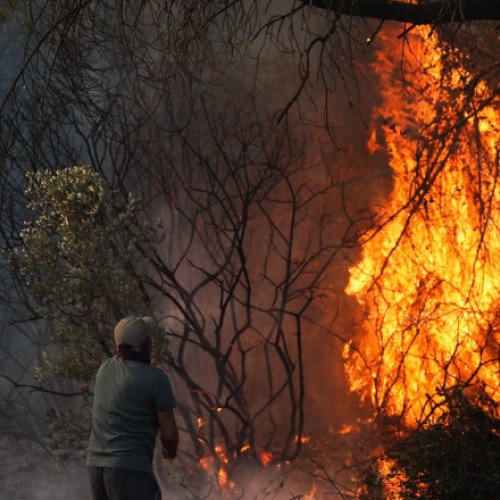 Video Incendii de vegetație în provincia Izmir din Turcia. 77 de focare au izbucnit în doar 24 de ore. Peste 1.000 de pompieri mobilizați