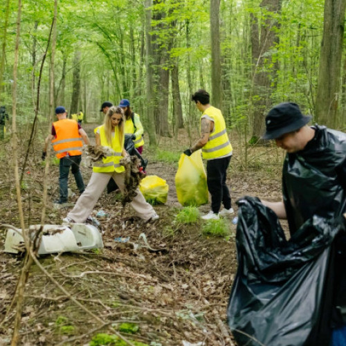 Peste 15 tone de deșeuri colectate în cadrul campaniei de ecologizare a BAT România în pădurea Plopeni, județul Prahova