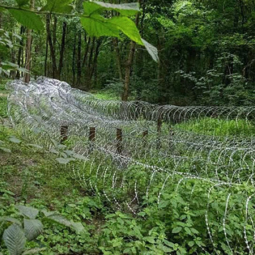 Rusia a concentrat 50.000 de militari în jurul Sumî, punând Ucraina în dificultate (Wall Street Journal)