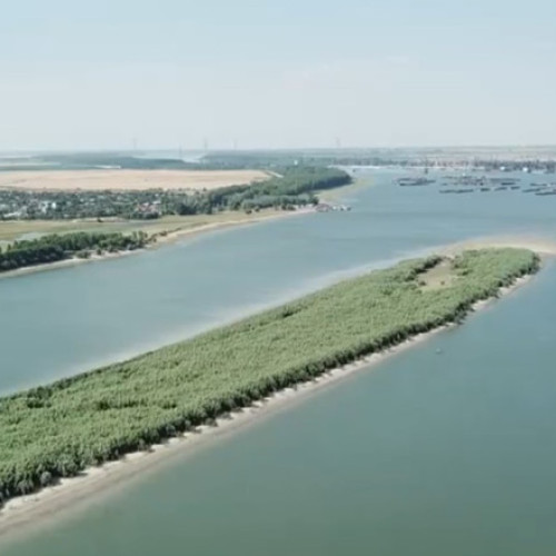 Video Efectele secetei asupra Dunării: debit la jumătate față de normal, restricții în traficul naval. „Nisipul a câștigat teren”
