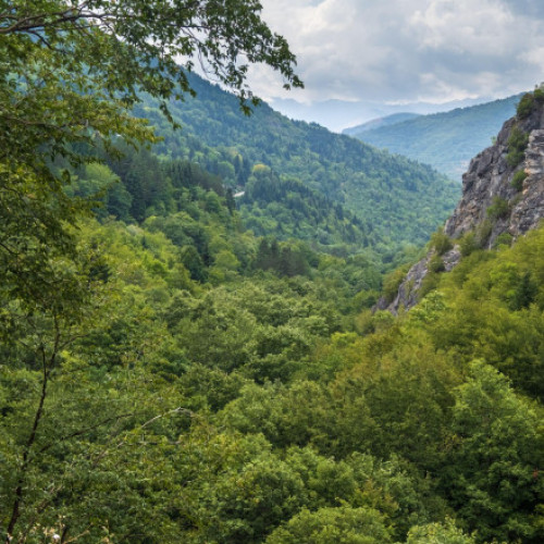 Măsura inedită prin care Macedonia de Nord vrea să prevină incendiile de pădure în munți