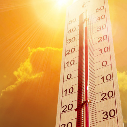 Canicula face victime în Europa. Alertă roșie în Franța, au fost înregistrate temperaturi record. Incendii devastatoare în Spania