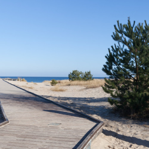 Polonia anunță cât timp va menține controalele la granița cu Germania