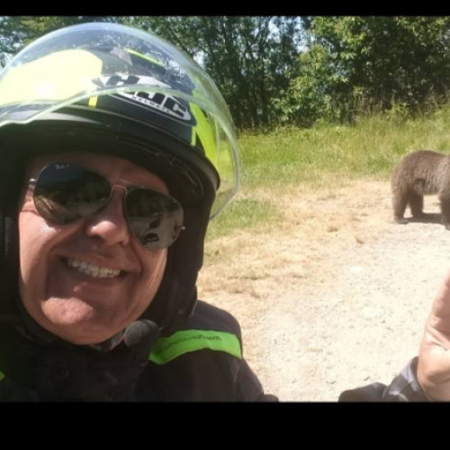 Video Italianul ucis de urs pe Transfăgărăşan postase, cu o zi înaintea atacului, fotografii și filme cu urşi pe marginea drumului