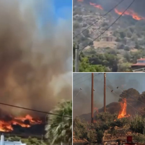 Video Incendii devastatoare în Grecia și Turcia. Doi morți în Izmir, mii de locuitori și turiști au fost evacuați