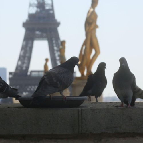 Canicula lasă Parisul fără curent electric: realimentarea cu energie este îngreunată de o grevă