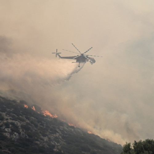 Exclusiv Incendii de vegetație într-un sfert din județele țării. Arafat: „Orice foc aprins poate să devină incontrolabil”