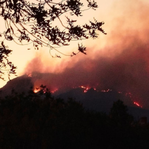 Peste 18.000 de persoane sunt izolate din cauza unui incendiu de vegetaţie care face ravagii în Catalonia