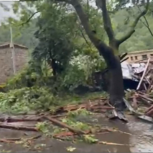 Video Haos în Sinaia după o furtună puternică: acoperișul gării, luat de vijelie. Traficul pe DN1, restricționat din cauza copacilor doborâți