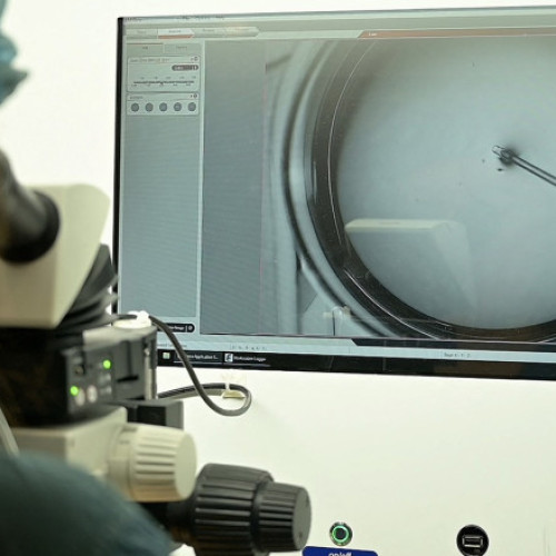 Clinicile de fertilitate sunt tot mai solicitate în țara cu cea mai scăzută natalitate. „Cu rezervare, am așteptat peste 3 ore”