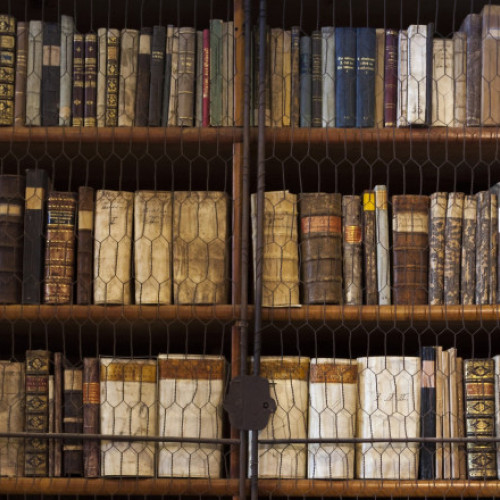 Foto Cea mai veche bibliotecă din Ungaria, invadată de gândaci. 100.000 de cărți rare ar putea fi distruse. Măsuri urgente de dezinsecție