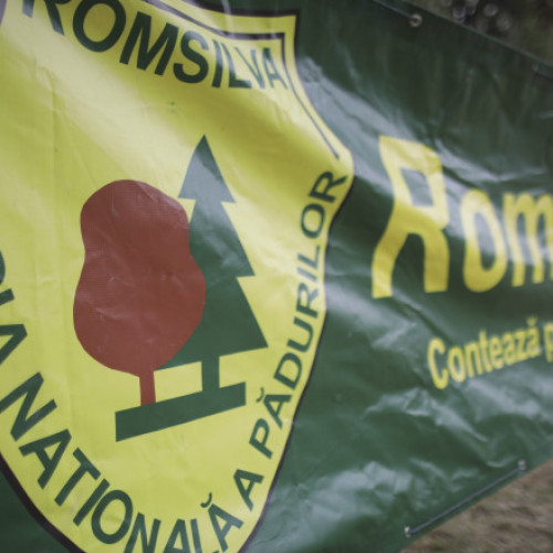 Sindicaliştii din silvicultură: Reorganizarea Romsilva nu se poate realiza unilateral, fără o consultare reală cu actorii implicaţi