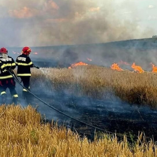 Video Alertă în Oltenia: 53 de incendii în decurs de 3 zile. Zeci de pompieri se luptă cu flăcările. 750 de hectare mistuite