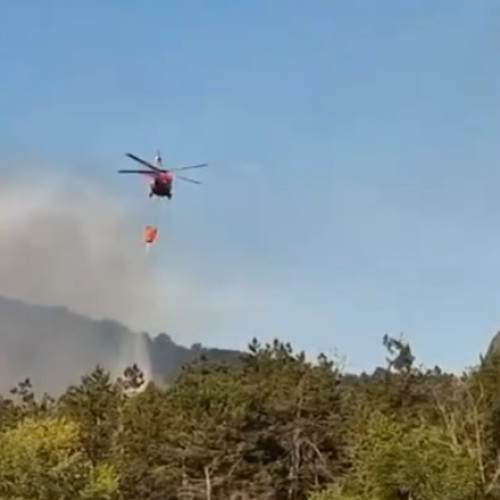 Video Incendiul de vegetație uscată în județul Tulcea riscă să se extindă la mai multe locuințe. Intervine și un elicopter BlackHawk