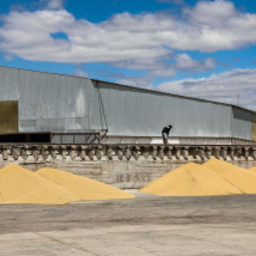 Video Cum alimentează schimbările climatice incendiile de vegetație din Europa. Aproape 230.000 de hectare făcute scrum în decursul a 6 luni