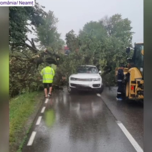 Video Rupere de nori în Iași și Neamț. Au căzut bucăți mari de grindină, zeci de copaci au fost doborâți de vânt