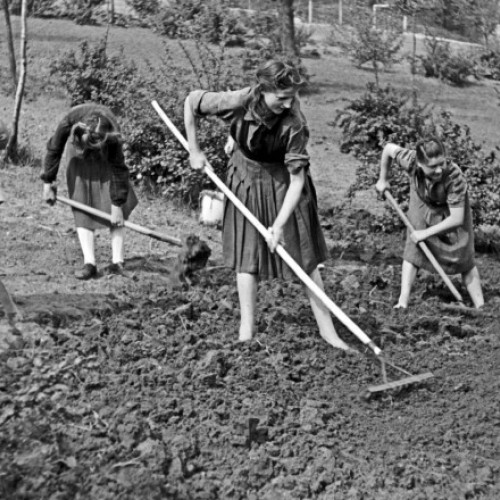 Landurile Germaniei nu cad de acord asupra începerii vacanței de vară pentru elevi. Complicatul sistem german de vacanță prin rotație