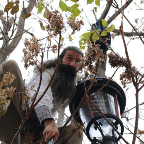 Șefa Comisiei pentru cercetarea abuzurilor a Camerei Deputaților s-a întâlnit cu Stegarul Dac, care e în greva foamei de 3 săptămâni