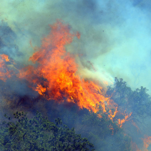 Cod roșu de incendii în Italia. MAE a transmis o atenționare de călătorie