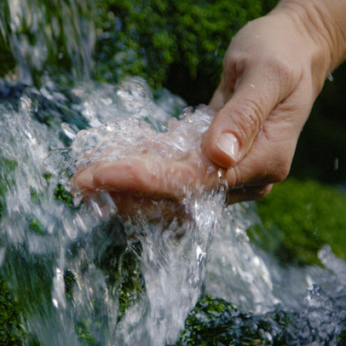 Video Orașul cu izvoare infectate cu bacterii și E. coli, din care oamenii continuă să bea apă. „Trece prin pietre. Ce bacterii să aibă?”