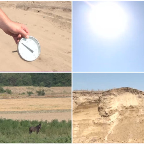 Video Situație critică în „Sahara Olteniei”, unde nu a mai plouat de trei luni. Cum arată viața de agricultor în câmp, la peste 40° Celsius