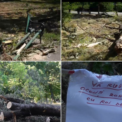 Video Imagini dezolante în marile parcuri ale Bucureștiului: Copaci căzuți și amenajări distruse după furtună. Primăria e de negăsit