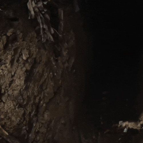 Video Trupele speciale ucrainene, acțiune de curățare a pozițiilor inamice și luare de ostatici. „Trei moscoviți au fost mai puțin norocoși”