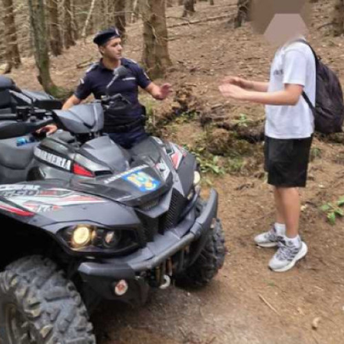 Un tânăr plecat în drumeţie către Vârful Postăvaru, alergat de urs. Cum a scăpat nevătămat