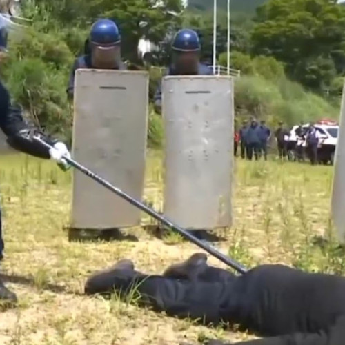 VIDEO Cum decurge un exercițiu de pregătire pentru atacurile urșilor în Japonia