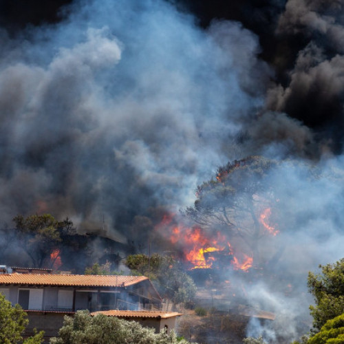 Video Incendii puternice de vegetație în apropiere de Atena. Sute de localnici evacuați. Pompierii au intervenit cu aeronave de stingere