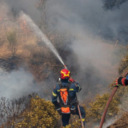 Grecia cere ajutor țărilor europene pentru stingerea incediilor de vegetatie