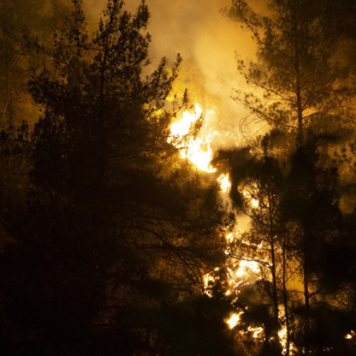 Video „Scene apocaliptice”. Turcia se luptă cu incendiile forestiere. Localități evacuate de urgență și peste 1.000 de pompieri mobilizați