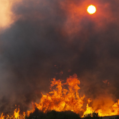 Video România trimite un elicopter Black Hawk în Bulgaria. Sunt peste 100 de incendii de vegetație în țara vecină