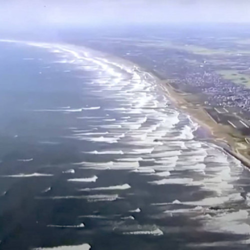 Video Imagini impresionante în Japonia: balene eșuate pe țărmul din Tateyama după cutremurul puternic din Kamceatka urmat de un tsunami