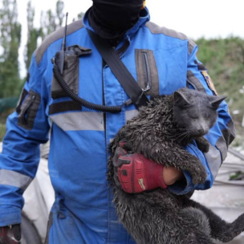 Video&Foto Atac rusesc asupra Kievului: cel puțin patru morți și 52 de răniți